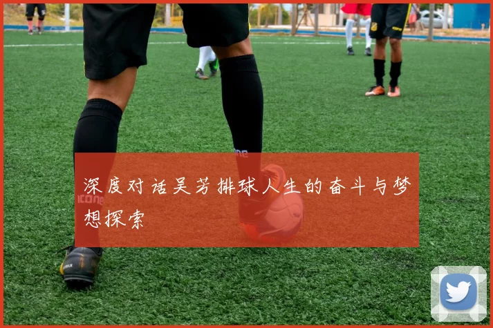 深度对话吴芳排球人生的奋斗与梦想探索