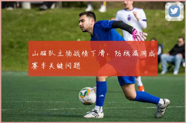 山猫队主场战绩下滑,防线漏洞成赛季关键问题