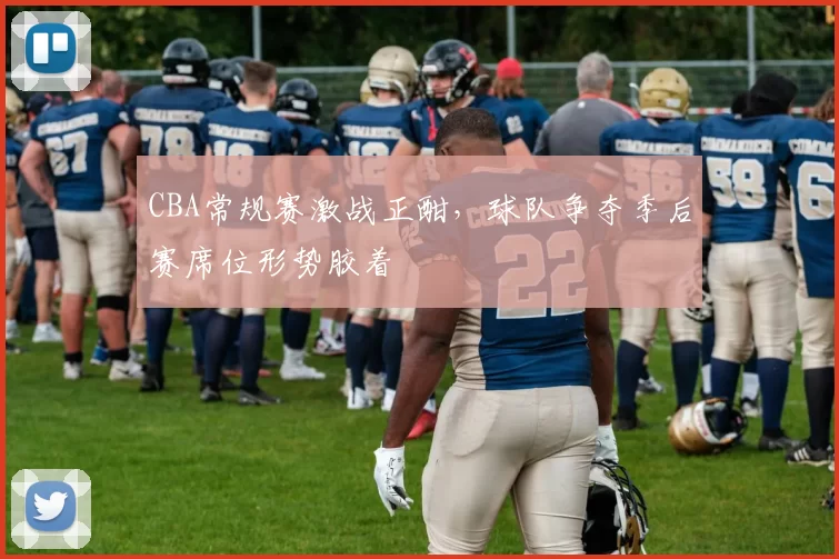 CBA常规赛激战正酣,球队争夺季后赛席位形势胶着