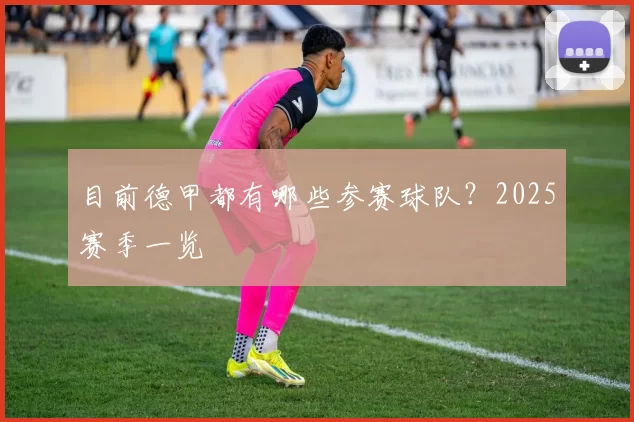 目前德甲都有哪些参赛球队？2025赛季一览