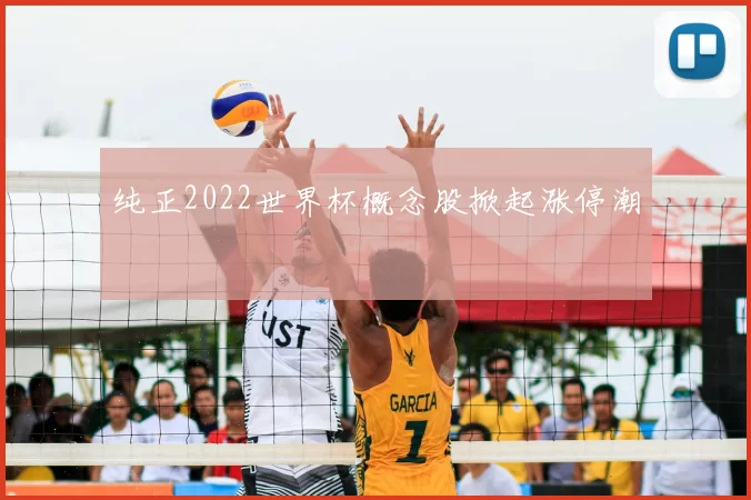 纯正2022世界杯概念股掀起涨停潮