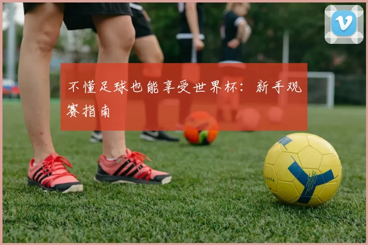不懂足球也能享受世界杯：新手观赛指南