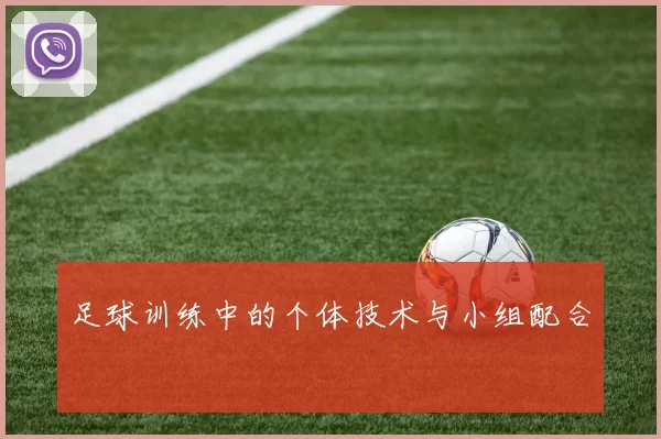 足球训练中的个体技术与小组配合