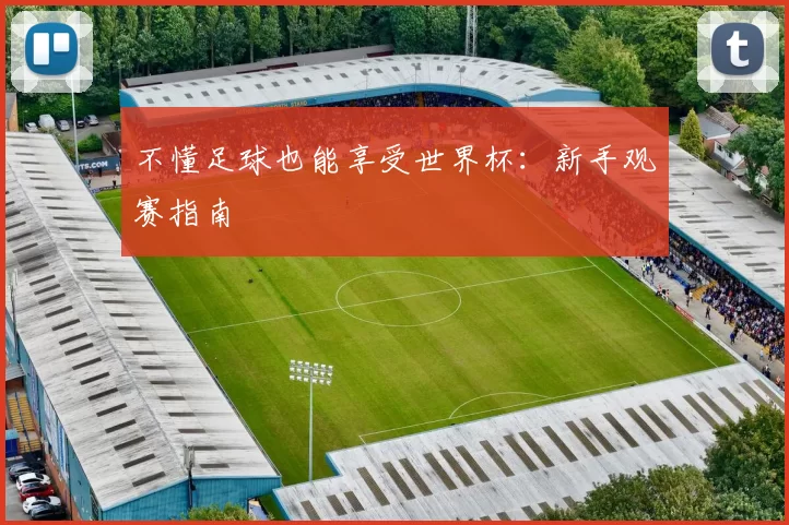 不懂足球也能享受世界杯：新手观赛指南