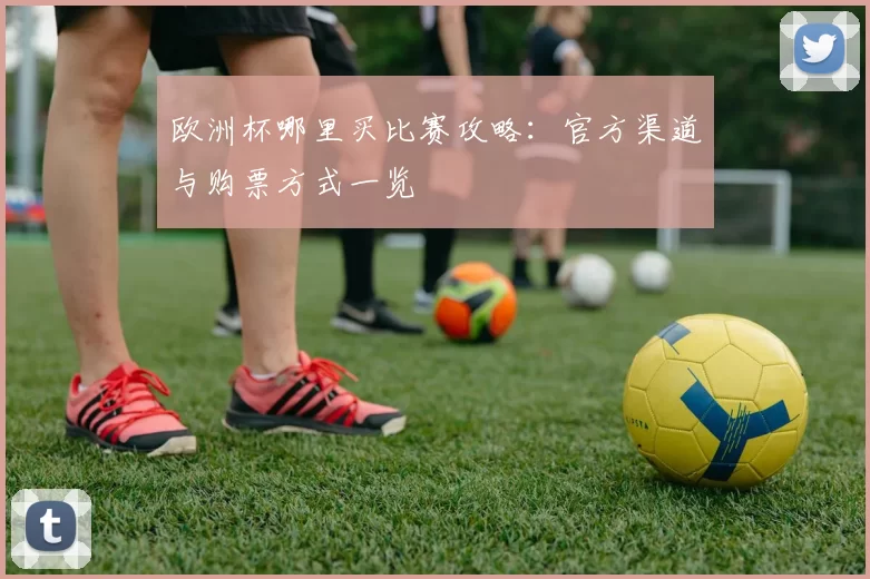 欧洲杯哪里买比赛攻略：官方渠道与购票方式一览