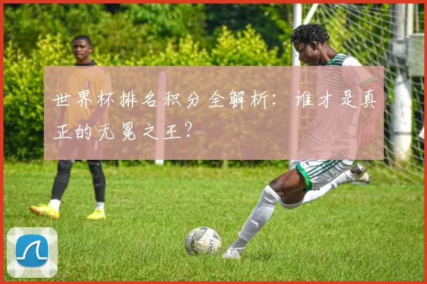 世界杯排名积分全解析:谁才是真正的无冕之王?