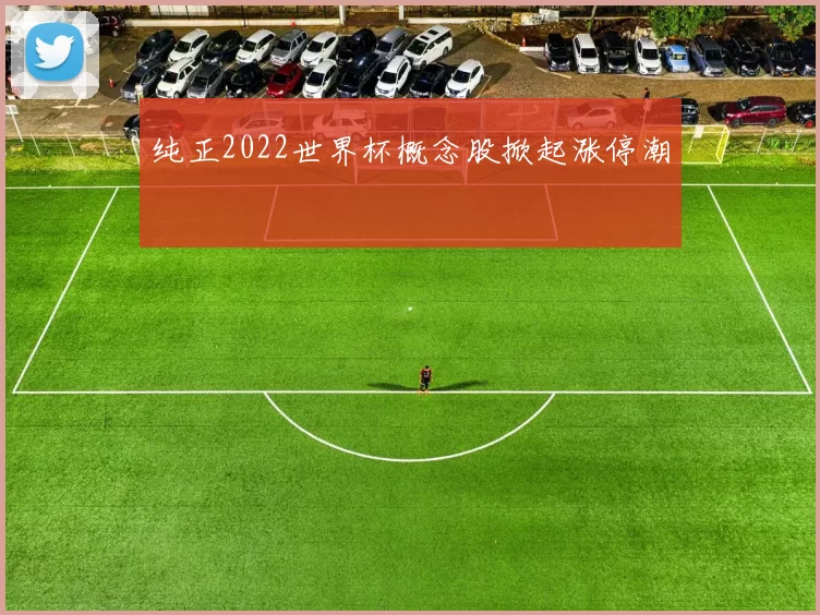 纯正2022世界杯概念股掀起涨停潮