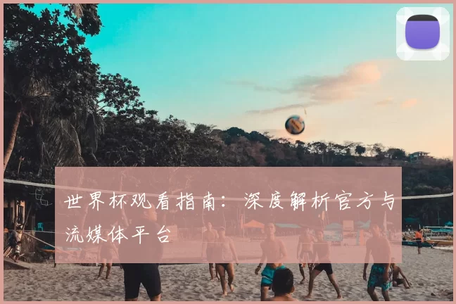 世界杯观看指南：深度解析官方与流媒体平台