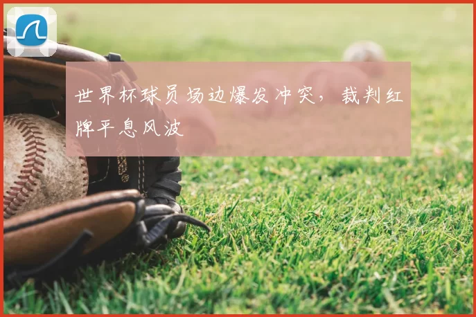 世界杯球员场边爆发冲突，裁判红牌平息风波