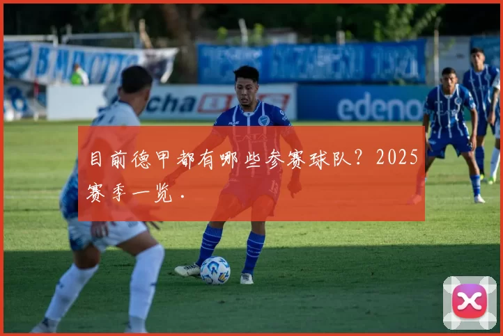 目前德甲都有哪些参赛球队?2025赛季一览 .