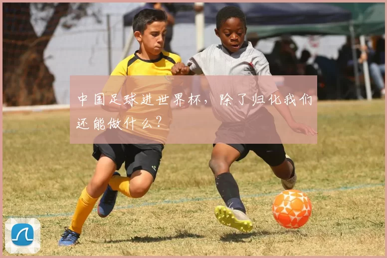 中国足球进世界杯,除了归化我们还能做什么?