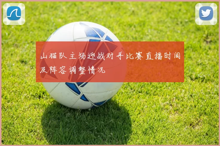 山猫队主场迎战对手比赛直播时间及阵容调整情况