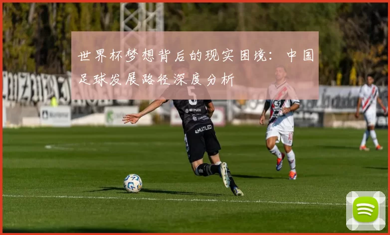 世界杯梦想背后的现实困境:中国足球发展路径深度分析