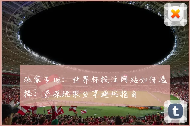 独家专访:世界杯投注网站如何选择?资深玩家分享避坑指南