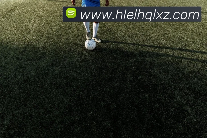 hth华体网页版登录入口全站App